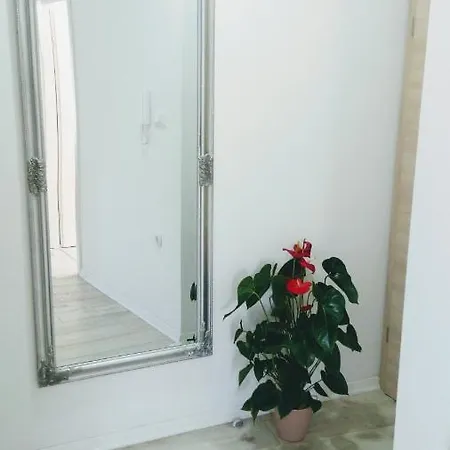 Apartment Davorka Makarska